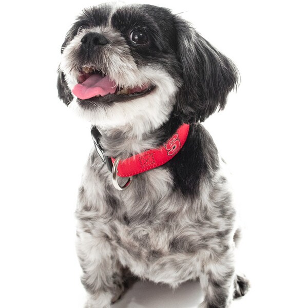 Dog Collar - Block S - Large
